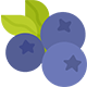 blueberry blueberry